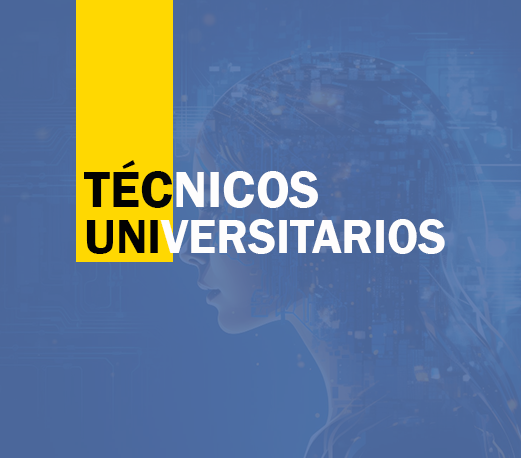 Técnicos